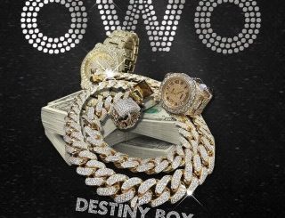 Destiny Boy – OWO (Stream & Download)