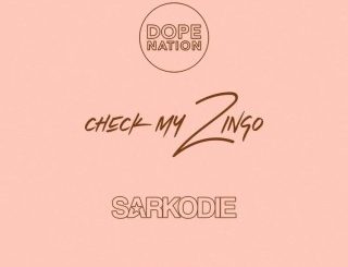 DopeNation – Check My Zingo (Remix) Ft. Sarkodie (MP3 Download)