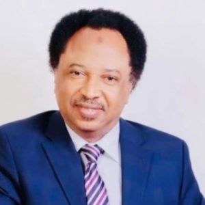 Reasons Senate Should Not Approve Military Action In Niger - Shehu Sani