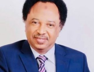 Reasons Senate Should Not Approve Military Action In Niger - Shehu Sani