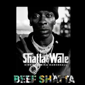 Shatta Wale – Beef Shatta (MP3 Download)