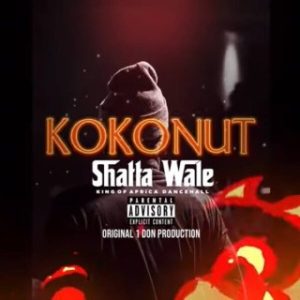 Shatta Wale – Kokonut (MP3 Download)