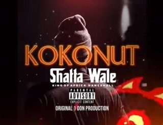 Shatta Wale – Kokonut (MP3 Download)