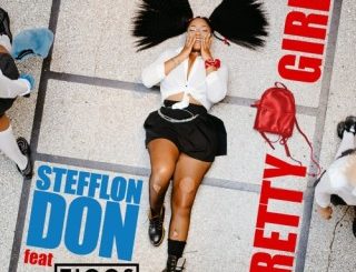 Stefflon Don - Pretty Girl Ft. Tiggs Da Author (Stream & Download)