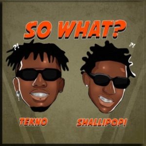 Tekno – So What? Ft. Shallipopi (MP3 Download)