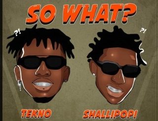 Tekno – So What? Ft. Shallipopi (MP3 Download)