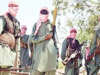 Bandits Displace Seven Villages In Kebbi, Sokoto States