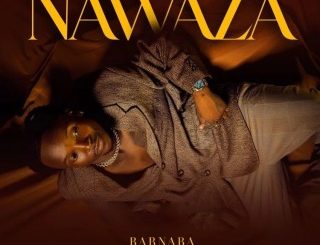 Barnaba – Nawaza (Stream & Download)