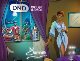 Dunnie – DND (Remix) Ft. Wildjay (Stream & Download)