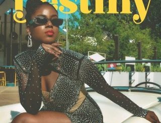 Mzvee – Destiny (Stream & Download)