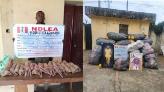 NDLEA Intercepts Skunk, Illicit Drugs, Loud, Colorado And Others