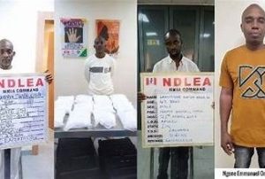 NDLEA Seizes Loads Heading for Abuja Containing Skunk, Laughing Gas, and Other Illicit Drugs