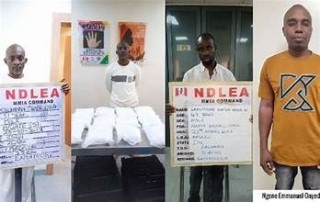 NDLEA Seizes Loads Heading for Abuja Containing Skunk, Laughing Gas, and Other Illicit Drugs