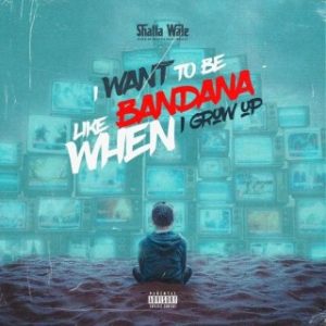 Shatta Wale – I Want To Be Like Bandana (Stream & Download)