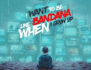 Shatta Wale – I Want To Be Like Bandana (Stream & Download)