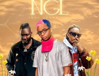 Steven Adeoye – NGL Ft. Goya Menor & Eltee Skhillz (Stream & Download)