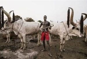 Three IDPs are killed by alleged Fulani herders in Benue