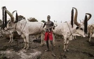 Three IDPs are killed by alleged Fulani herders in Benue