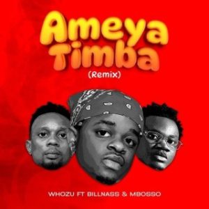 Whozu – Ameyatimba (Remix) Ft. Billnass & Mbosso (Stream & Download)