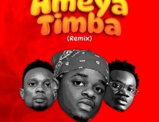 Whozu – Ameyatimba (Remix) Ft. Billnass & Mbosso (Stream & Download)