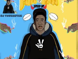 Zerry dl – Puff & Pass (Speed Up) (Stream & Download)