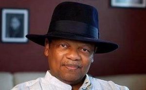 Atedo Peterside questions INEC's candor regarding the non-election period