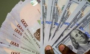 Forex crisis FG looks to sweep up from hoarders and wants to deal with looters