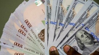 Forex crisis FG looks to sweep up from hoarders and wants to deal with looters