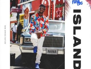 Fuse ODG – Island