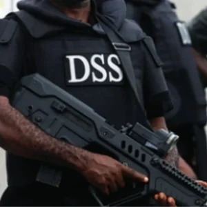 Insecurity In Southeast Criminality, Not Biafra Agitation – DSS