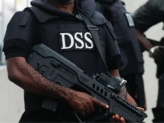 Insecurity In Southeast Criminality, Not Biafra Agitation – DSS