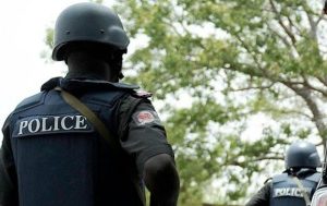 Manhood Theft: Bauchi Local Security Members Kill Suspect, Arrest 2