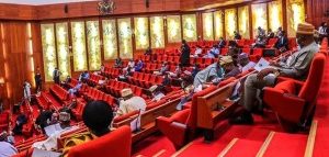 Nigerians criticize lawmakers