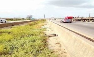 On the Lagos-Ibadan Expressway, pedestrians bemoan the open defecationJPEG