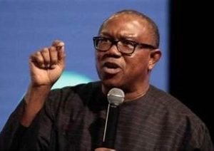 Palliatives According to Peter Obi, the government makes statements with little thought.