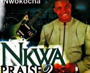 Paul Nwokocha – Nkwa Praise (Stream & Download)