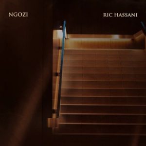 Ric Hassani – Ngozi (Stream & Download)