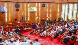 Senate summons military leaders over security concerns