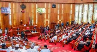 Senate summons military leaders over security concerns