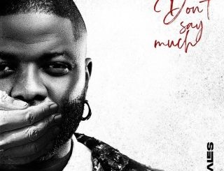 Skales – Don’t Say Much (Stream & Download)