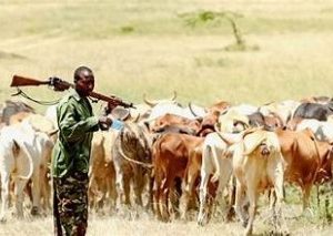 Three dead in Benue from suspected herders