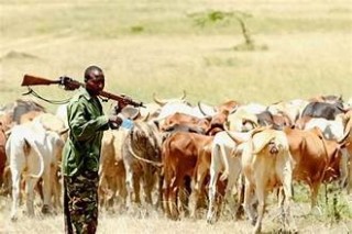 Three dead in Benue from suspected herders