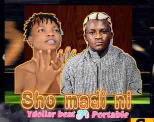 Y Dollar Beat – Sho Madi Ni ft. Portable (Instrumental)