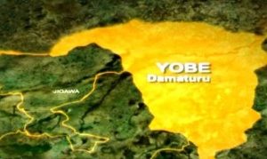 Yobe's post-insurgency recovery is lauded by the UN