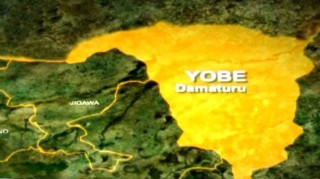 Yobe's post-insurgency recovery is lauded by the UN