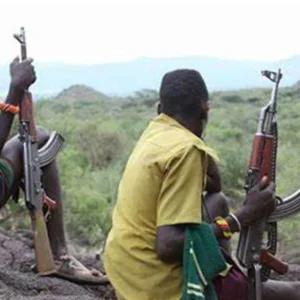 Bandits Tax Farmers Before Harvest In Kaduna Community