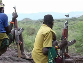 Bandits Tax Farmers Before Harvest In Kaduna Community