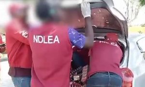 NDLEA Seizes Illicit Drugs Concealed In Vehicles Parts