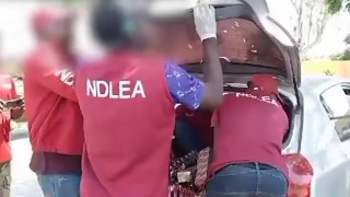 NDLEA Seizes Illicit Drugs Concealed In Vehicles Parts