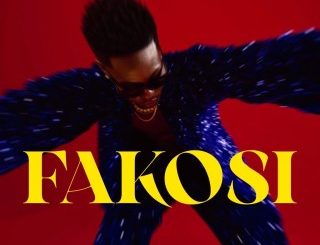 Reekado Banks – Fakosi (Stream & Download)